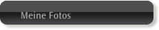 Meine Fotos